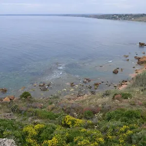 Baiarenella Sciacca